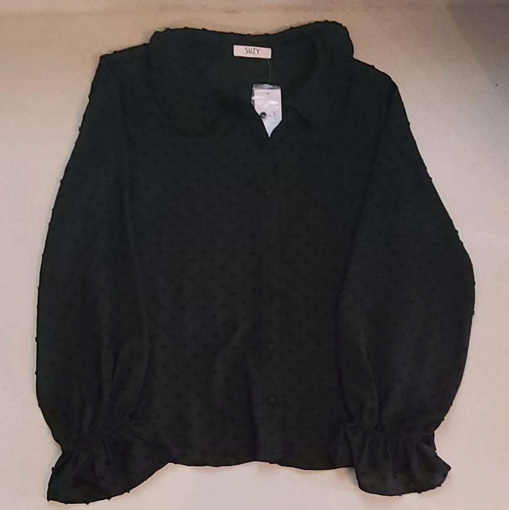 Textured Button-Front Ruffle Collar Blouse - Picture 6 of 10